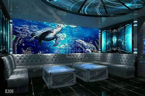 淄博小时场ktv最佳选择-桓台县ktv预定